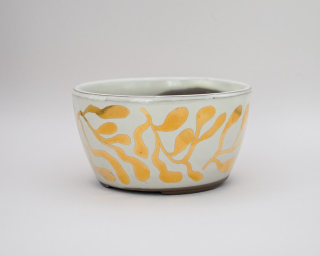 KINSAI POT / 金彩絵付鉢 (一点物)