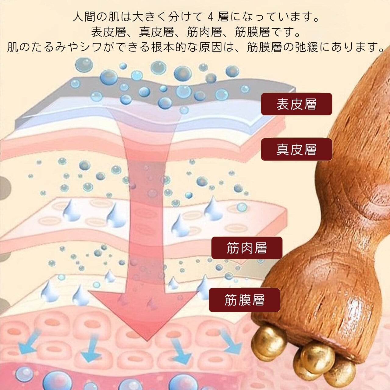 木製真鍮ミニ蓮の実マッサージ棒｜顔・目元両用 ツボ押し・筋膜