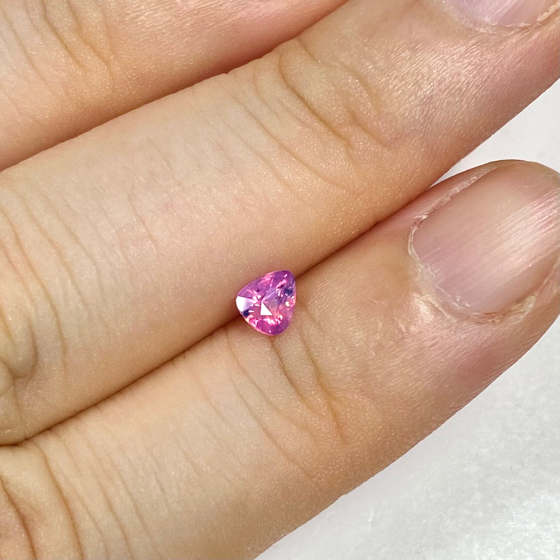 C様専用 魅力的な毒苺 サファイア