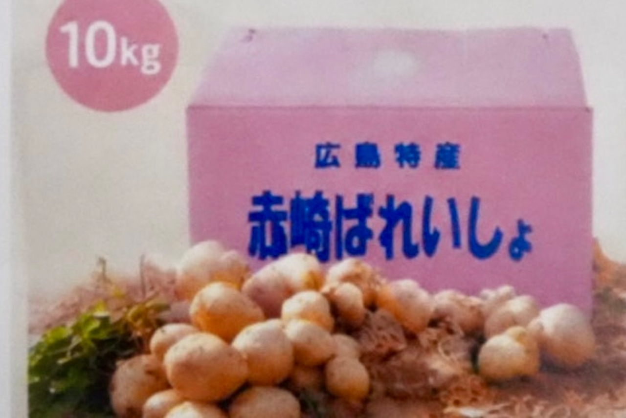 安芸津の赤じゃが　10kｇ