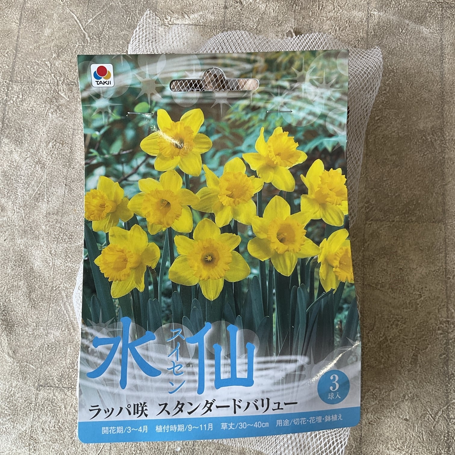 球根】水仙 スイセン ラッパ咲スタンダードバリュー 3球入 | 橋本種苗園