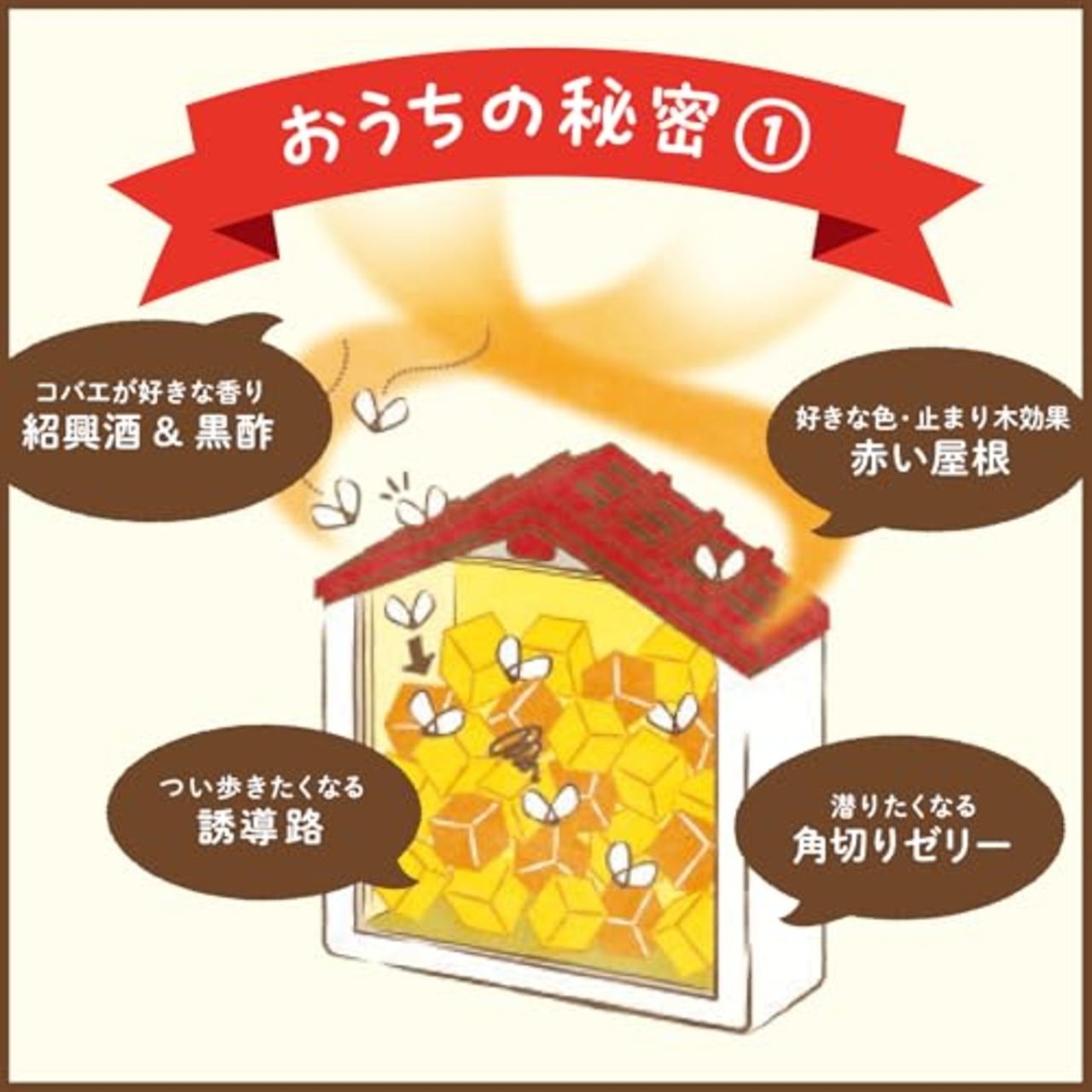 コバエがホイホイ 赤い屋根のおうち コバエ駆除剤 本体+詰め替え×3 コバエ取り コバエ対策 コバエ駆除 捕獲 小バエ 罠 エサ 小蝿退治 室内