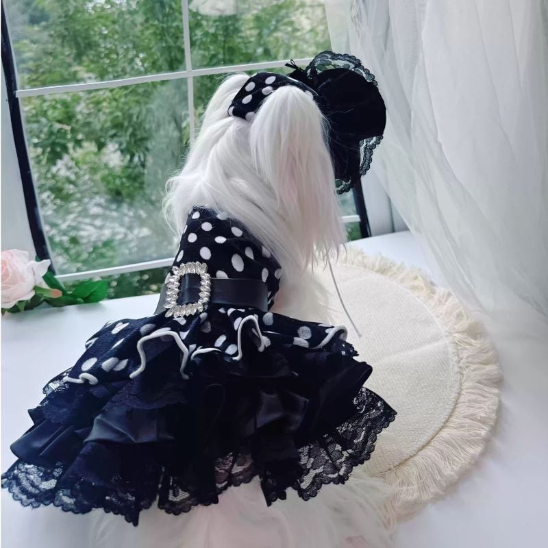 ポルカドットレディドレス 犬服 01249