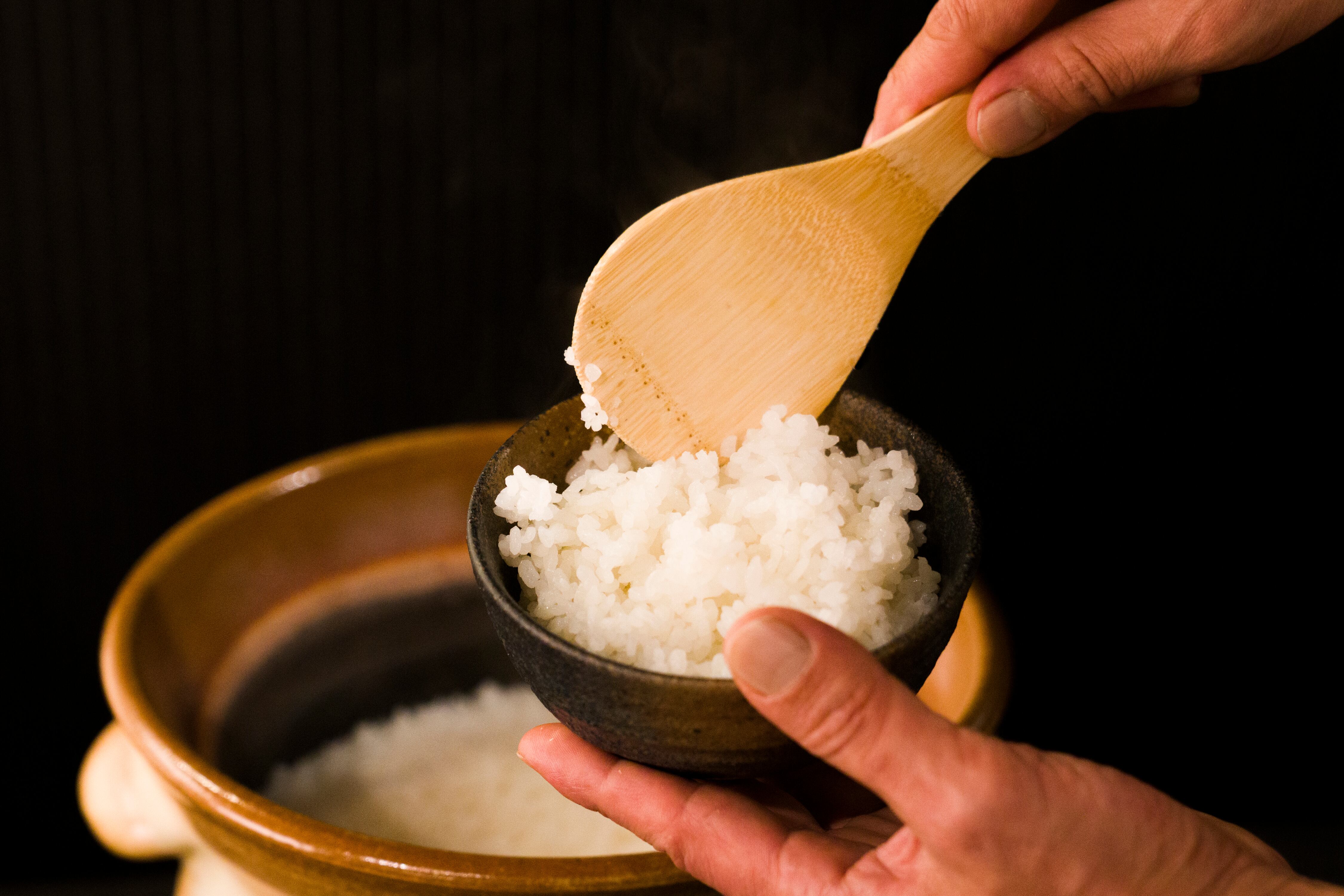 送料無料』【玄米】5kg 特別栽培米こしひかり（令和7年 福島県産