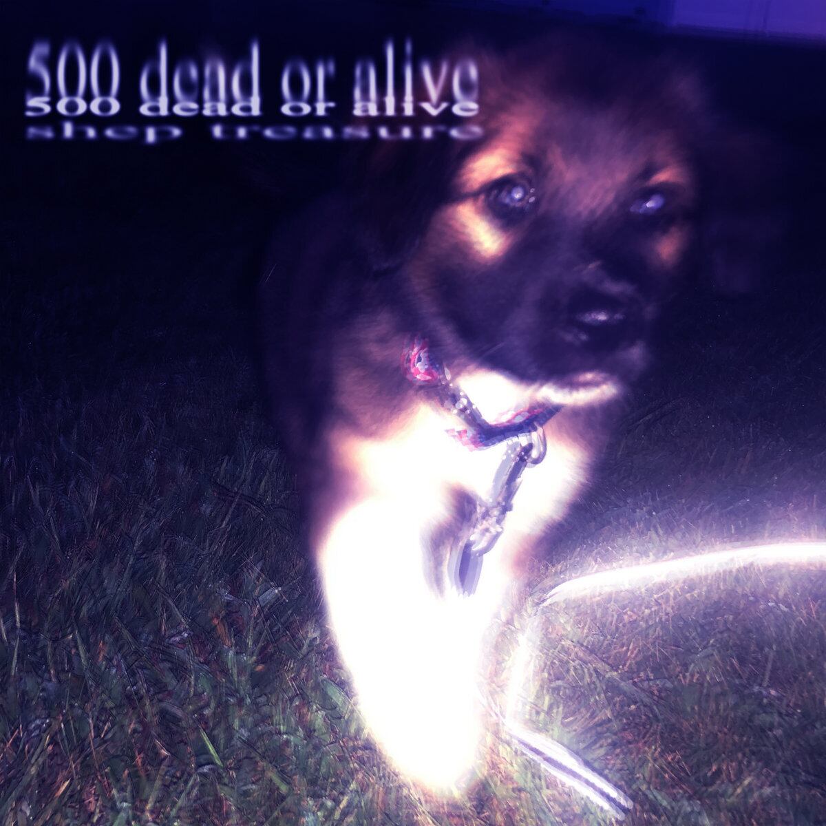shep treasure / 500 Dead Or Alive（CD）