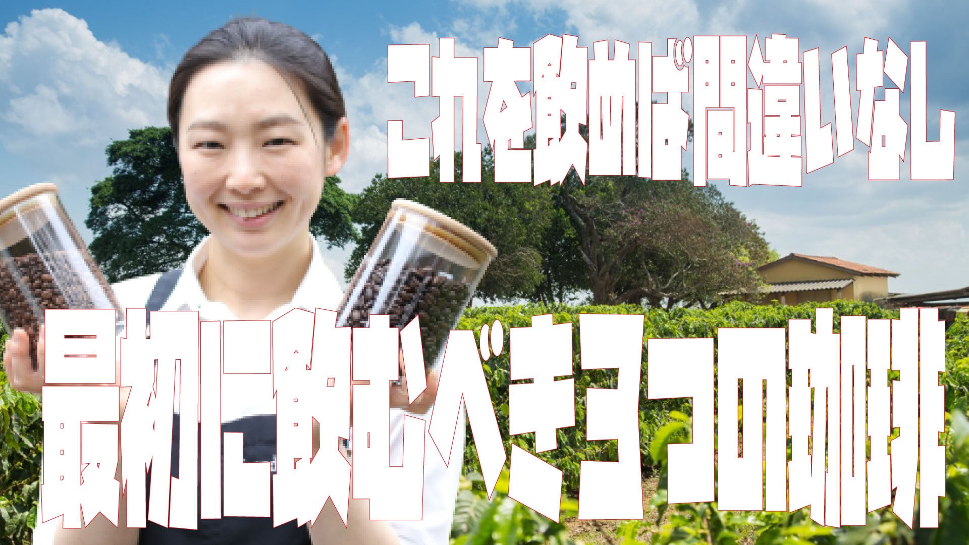 【まずはこれから】はじめてのコーヒー３種飲み比べセット（香りのモカ、甘みのブラジル、苦みのマンデリン）