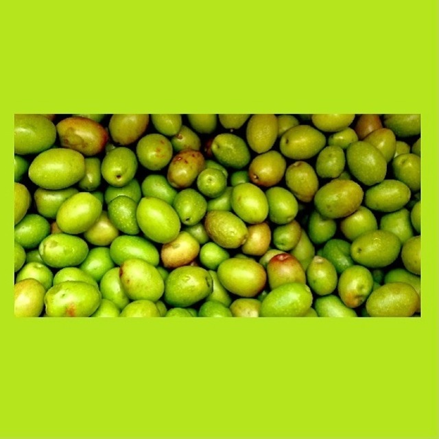 FRISINO BLACK EXTRA VIRGIN OLIVE OIL ちから強い風味のオリーブオイル