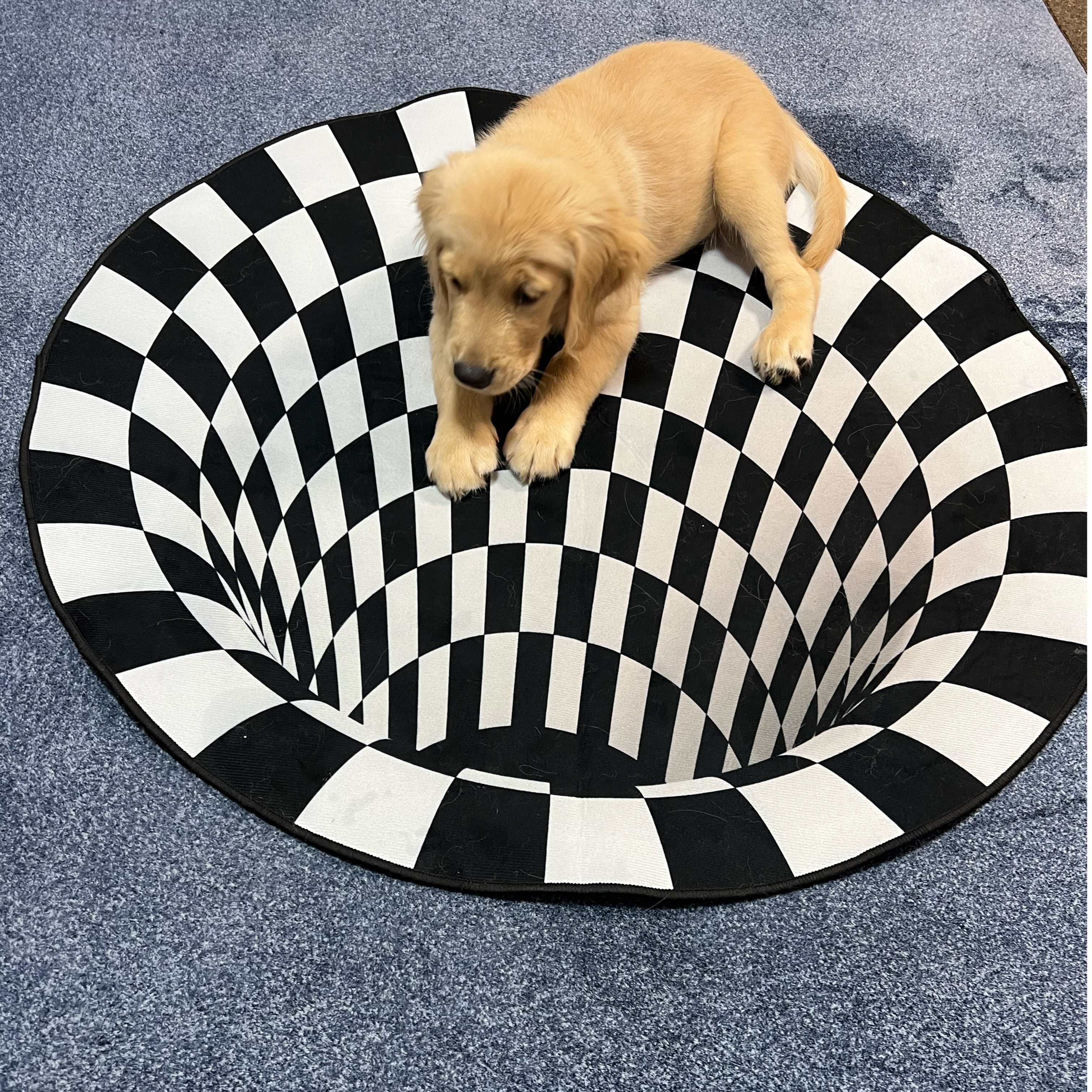 3D錯覚カーペット 100㎝ ラグ 玄関マット ノンスリップ敷物 ブラック