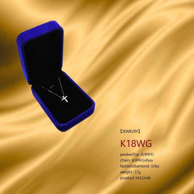 NO,2-6-10                                                                                 【JEWELRY】Cros necklace K18WG