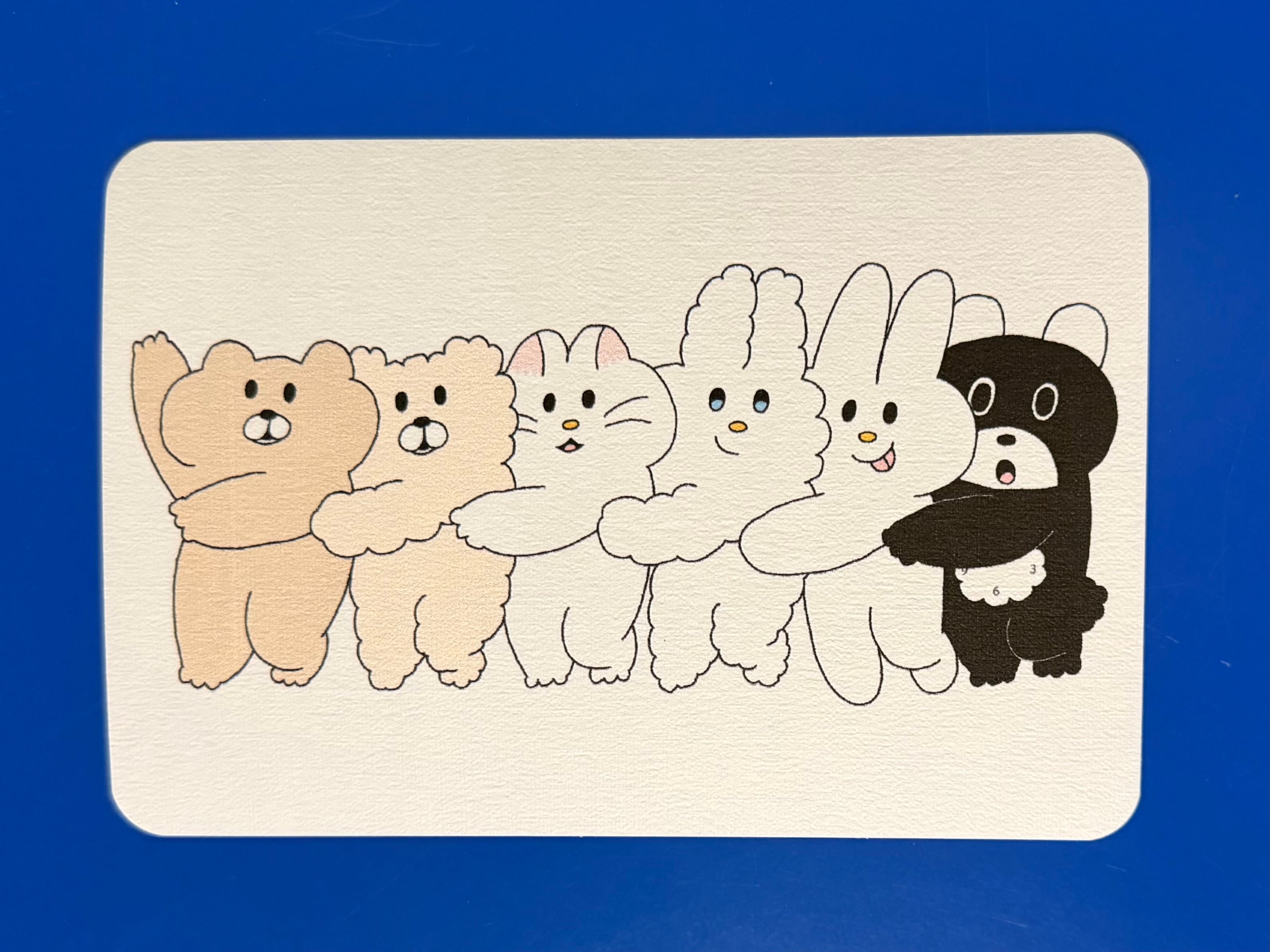 なかよし６匹のポストカード