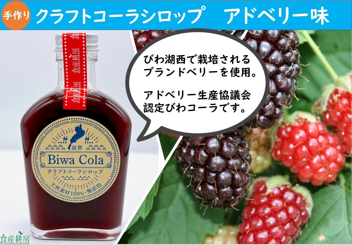 送料無料》びわコーラ_アドベリー味【3個セット】 | 食産耕房ショップ