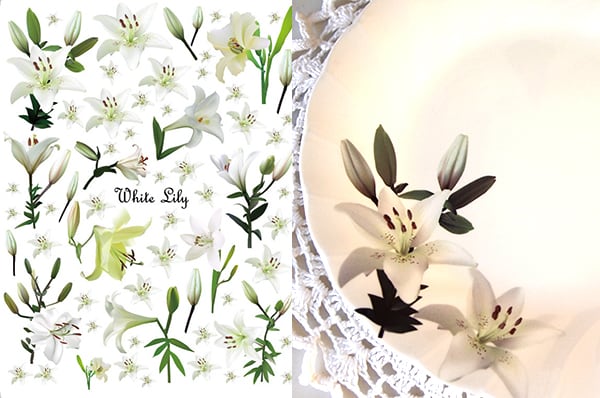 ホワイトリリー転写紙 白百合 A4サイズ(ポーセラーツ 花転写紙)