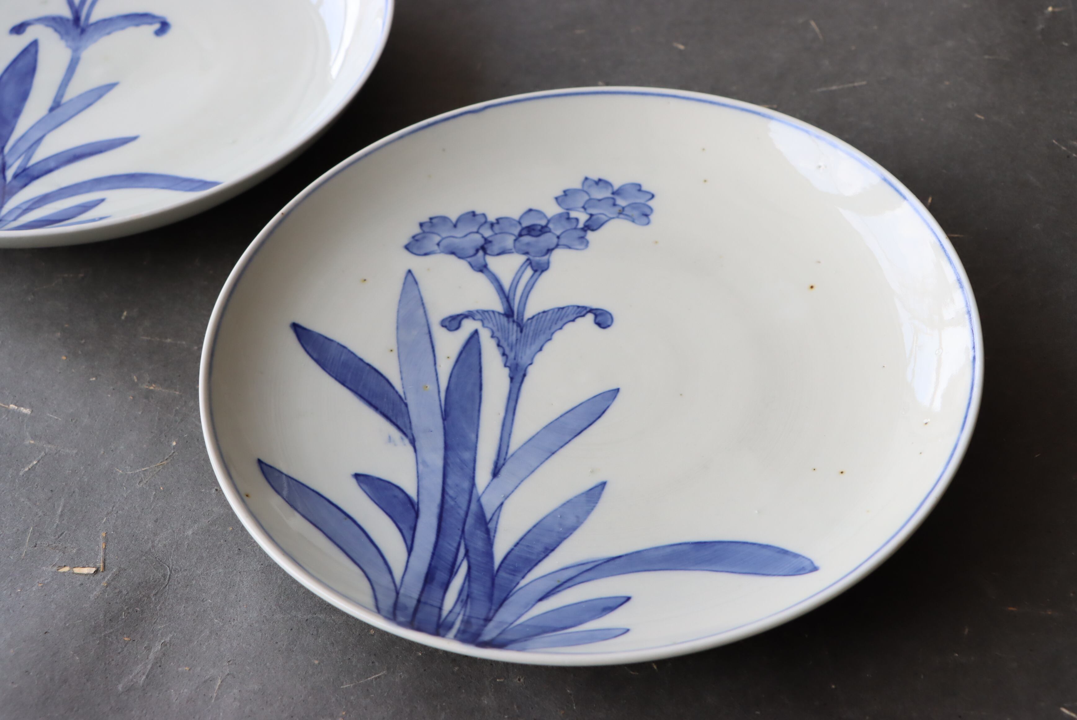 染付 阿蘭陀石竹文 中皿 七寸/Blue and white medium size plate | (有