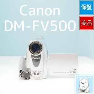 Canon DM-FV500 ビデオカメラ スマホ転送OK フルセット 美品 a6572