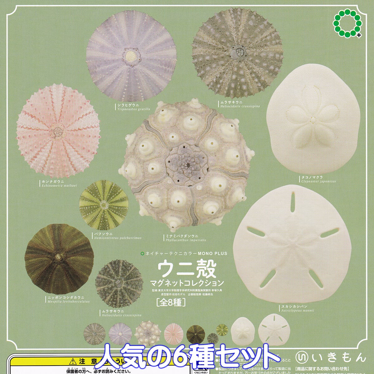 e3a4b5499cc5c2bbf36e3b25bac5da
