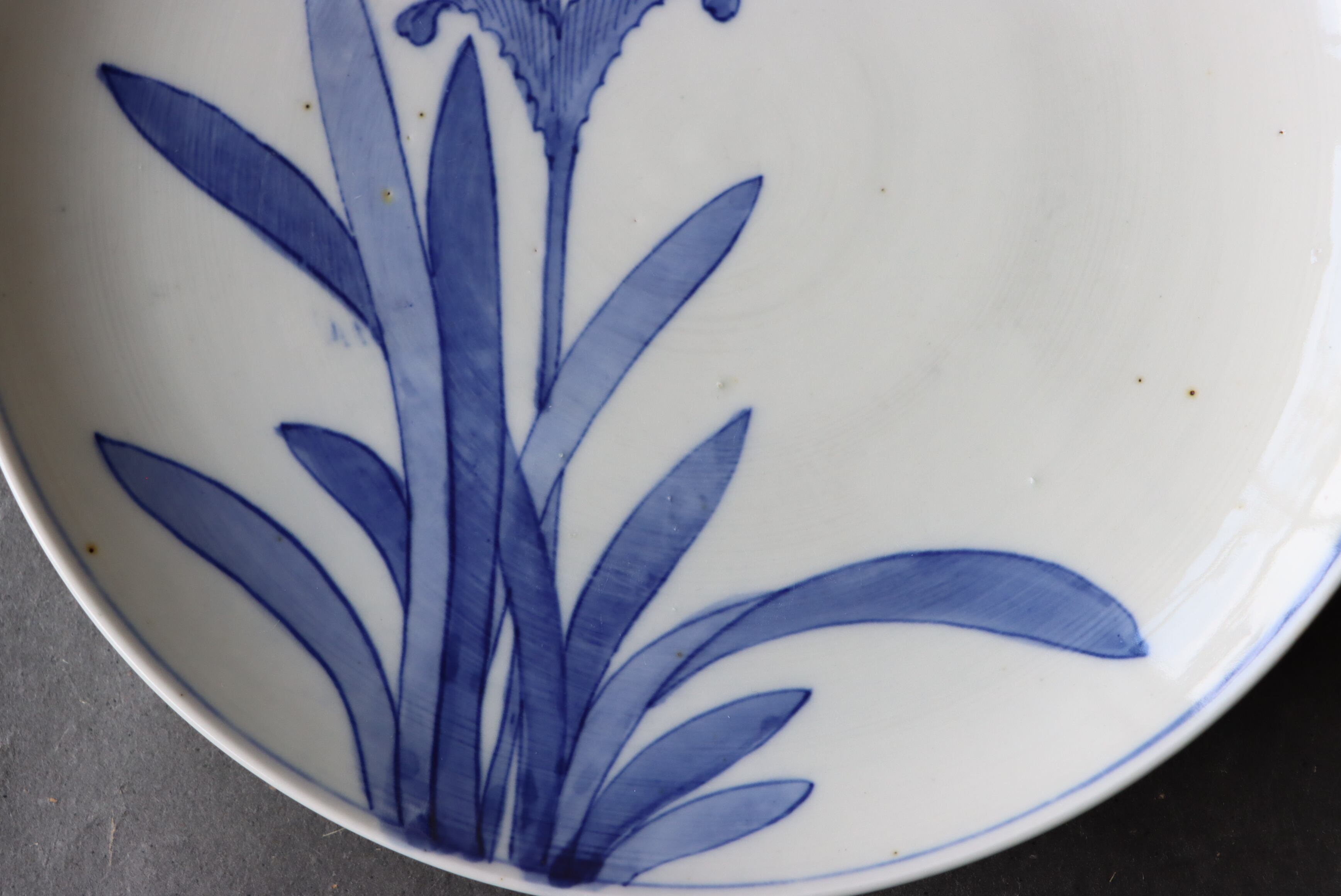 染付 阿蘭陀石竹文 中皿 七寸/Blue and white medium size plate | (有