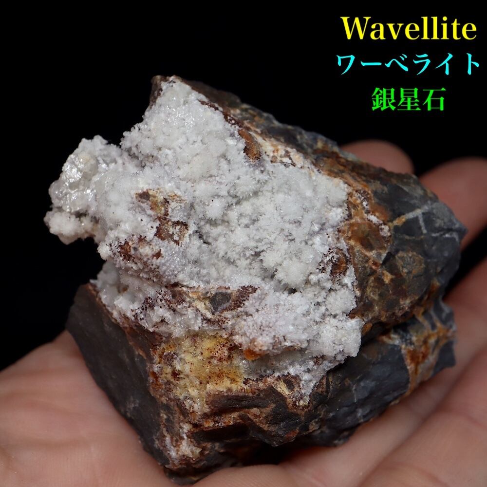 小惑星ベスタ起源のNWA1929隕石標本 【公式通販】