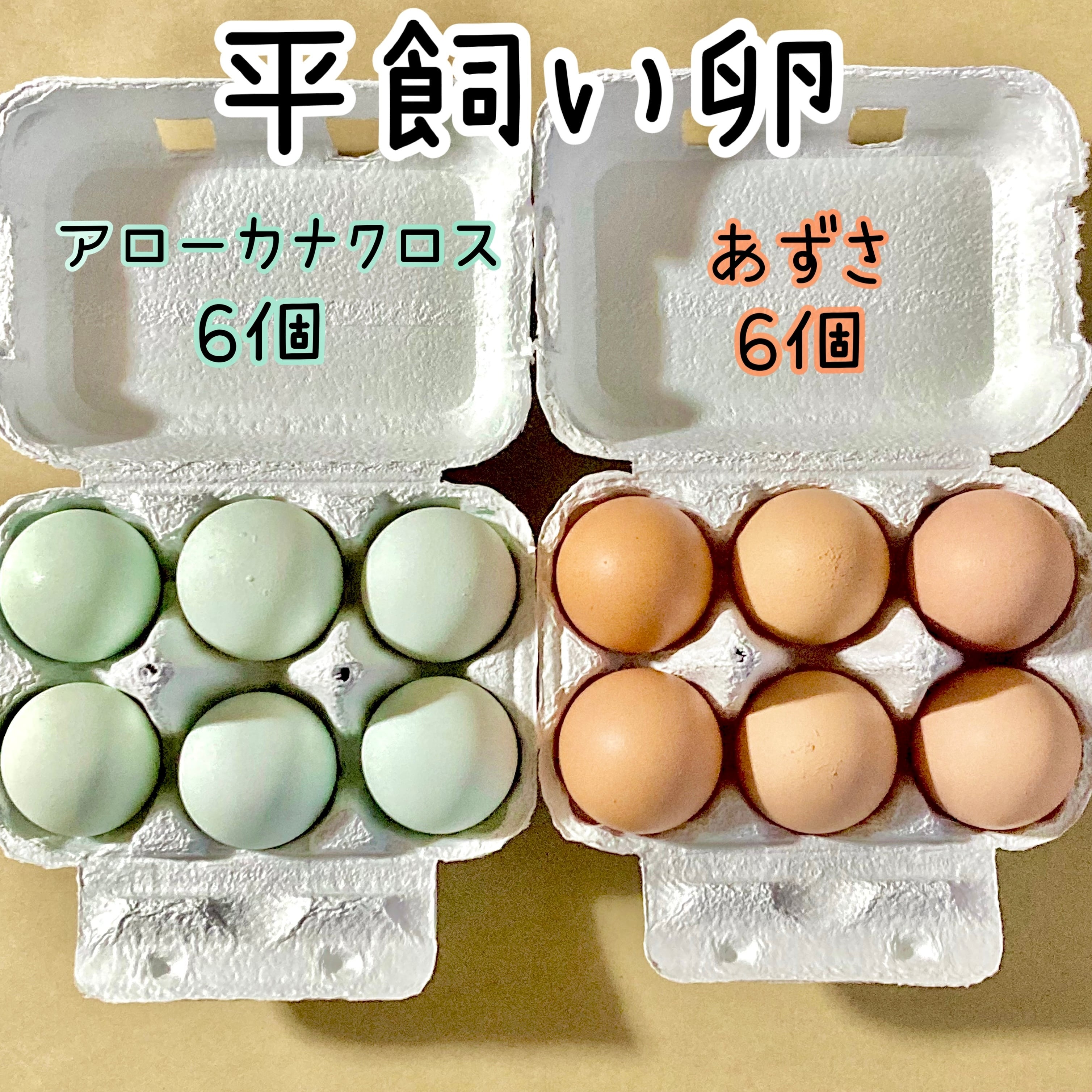 平飼い卵 青卵6コ&赤卵6コ | あおき農園(山梨) 平飼い卵 青卵6コ&赤卵6コ | あおき農園(山梨)