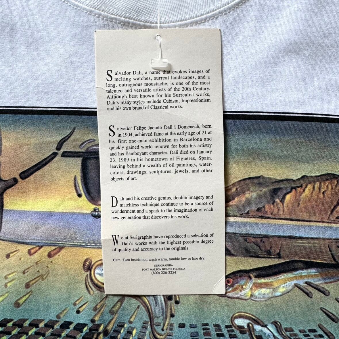 90s~ Salvador Dali 『The Disintegration of the Persistence 90s~ Salvador Dali 『The Disintegration of the Persistence