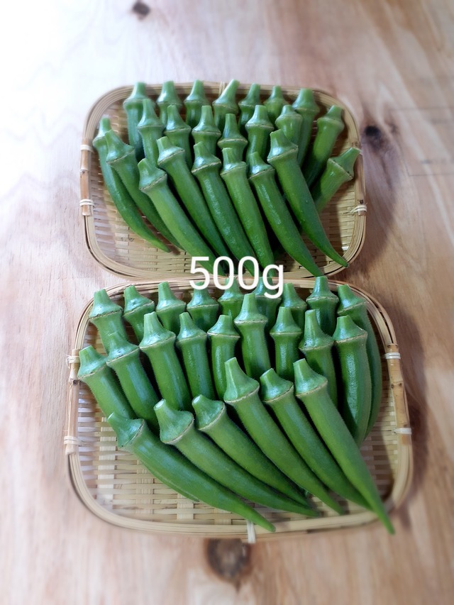 丸オクラ500g　旬をとことん味わう１週間