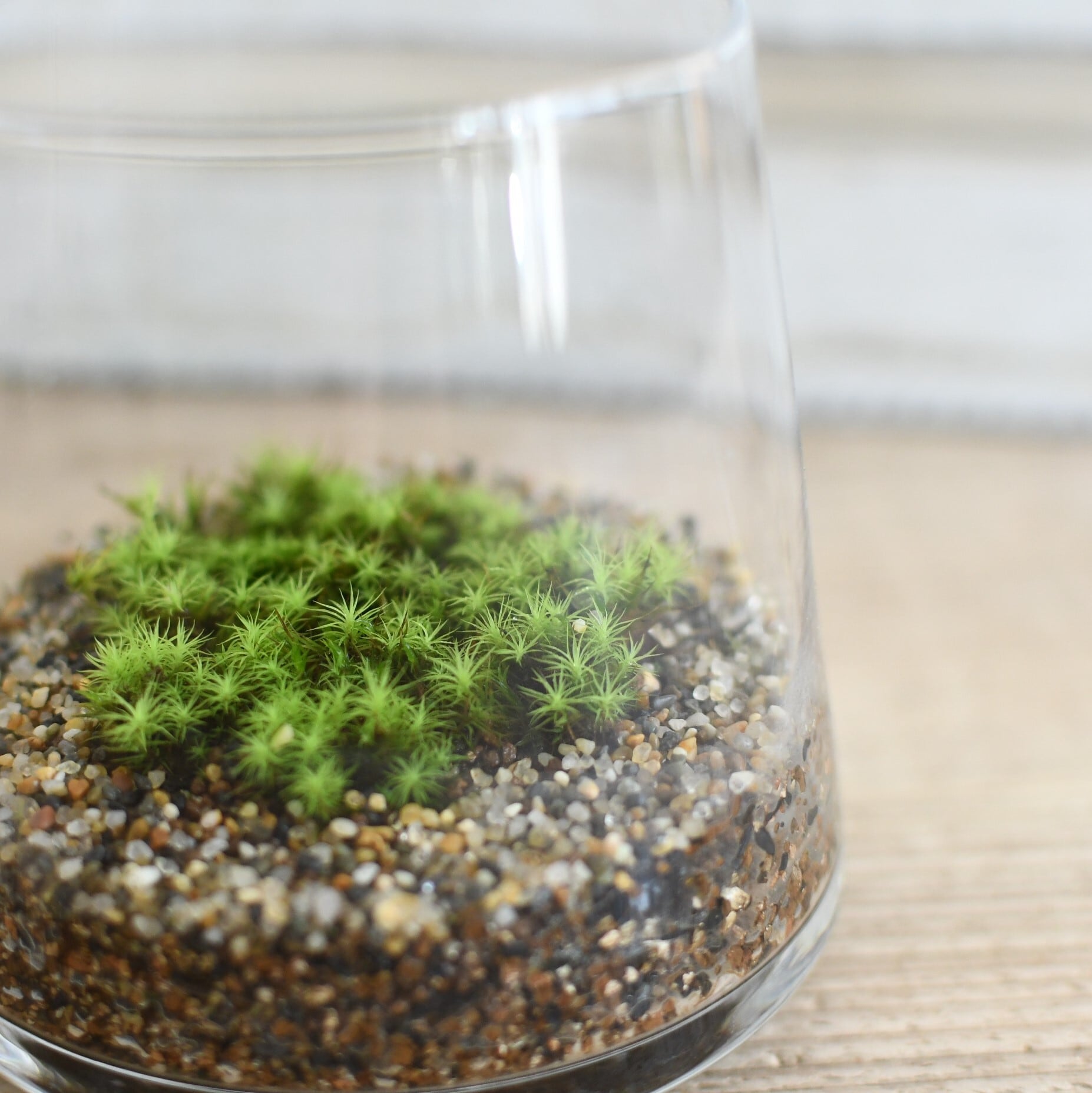 e3ad634fd6d3b3fda4409c78ddb01a