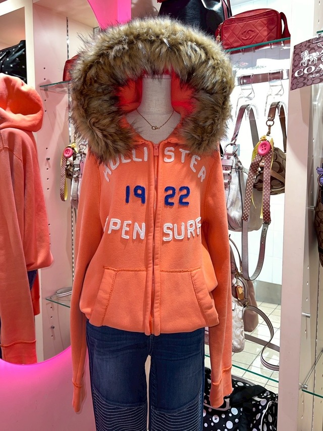 Vintage Hollister Fur Hoodie y2k