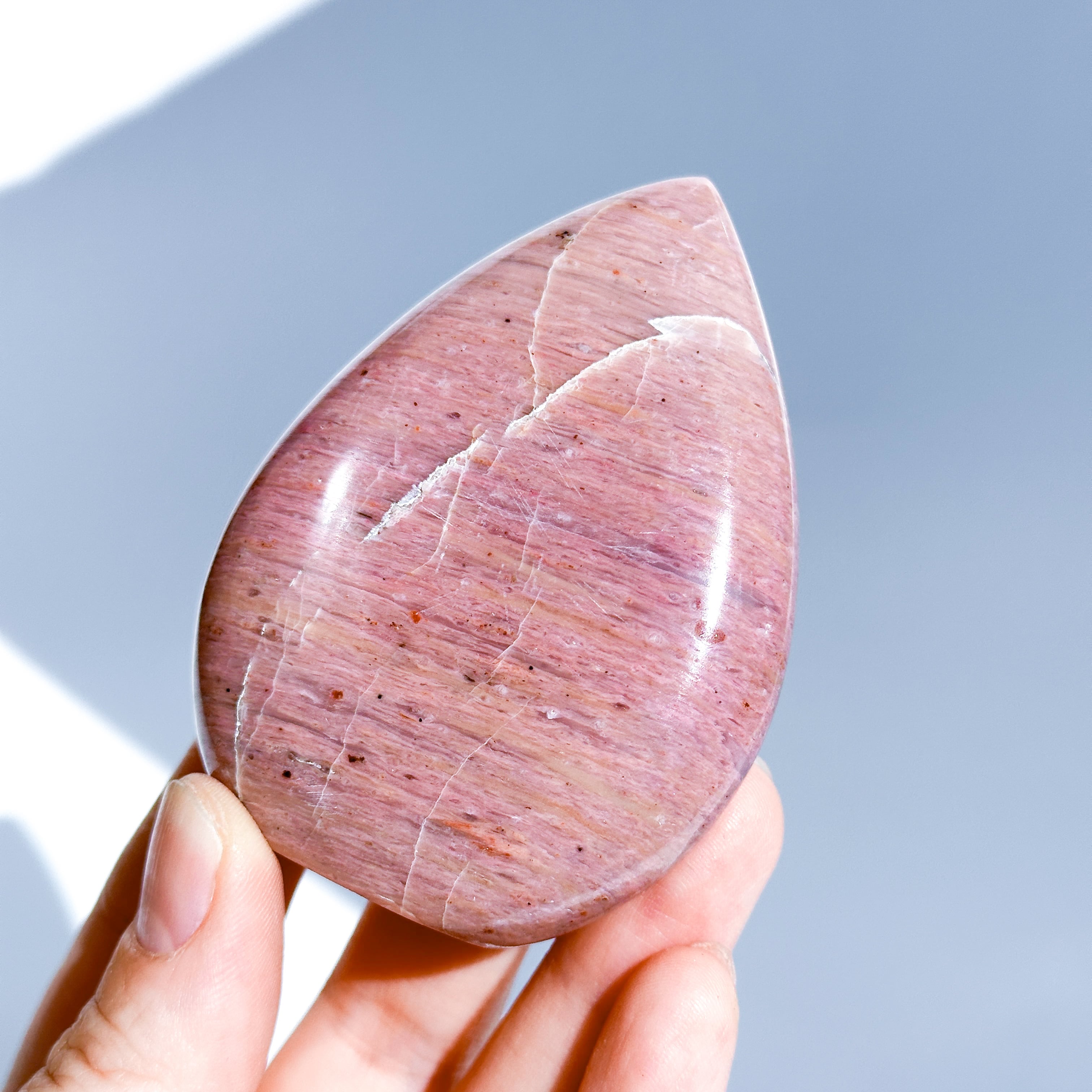 ピンクペトリファイドウッド しずく型12◇Pink Petrified Wood