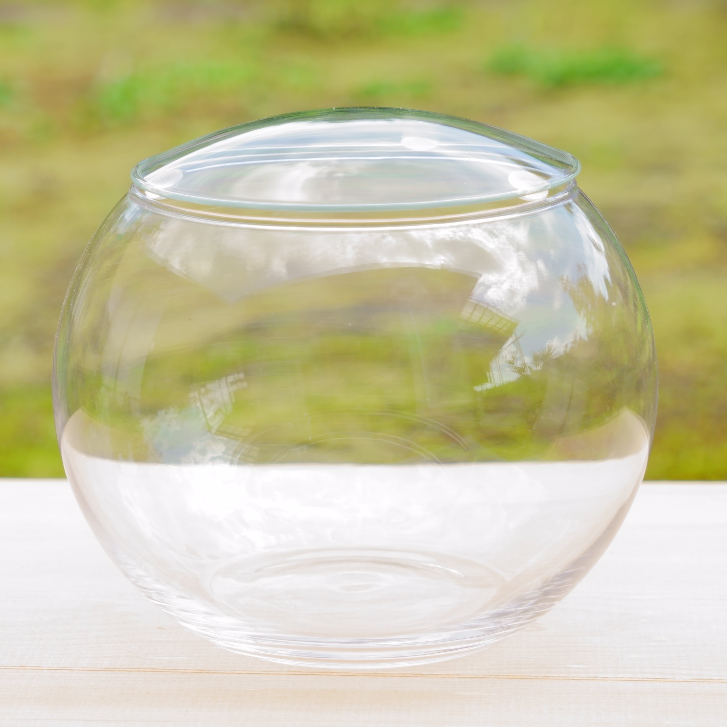 ボール型ガラス容器 フタ付き 苔テラリウム用 | 栽培苔と苔テラリウム