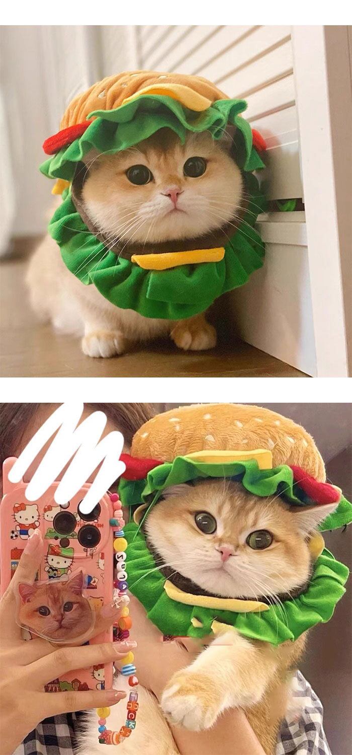 ハロウィン、短毛シュシュ(ブラック)わんちゃん猫ちゃん用 犬猫用帽子