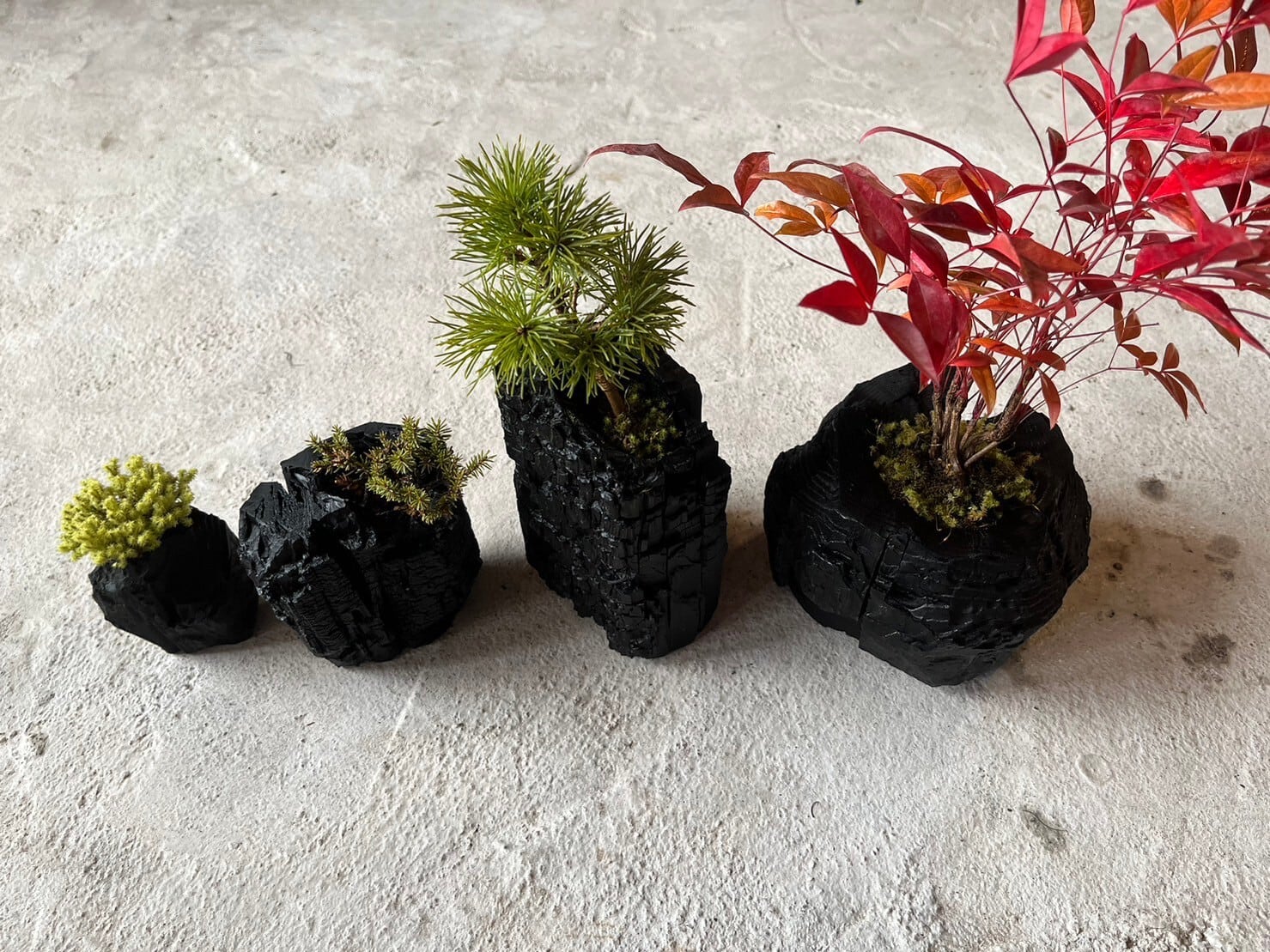 炭盆｜GreenGiftOutdoorsNagano｜長野県長野市信級 | TURNSのおすすめ