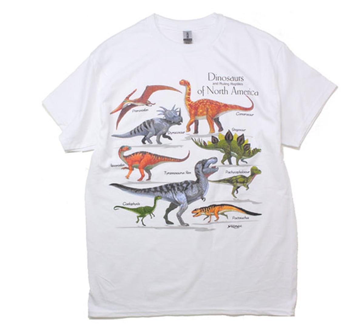 ネバヤン　ネッシー　tシャツ M 恐竜tシャツ ちょっとねむたい恐竜Tシャツ[くろ] – LTdesign