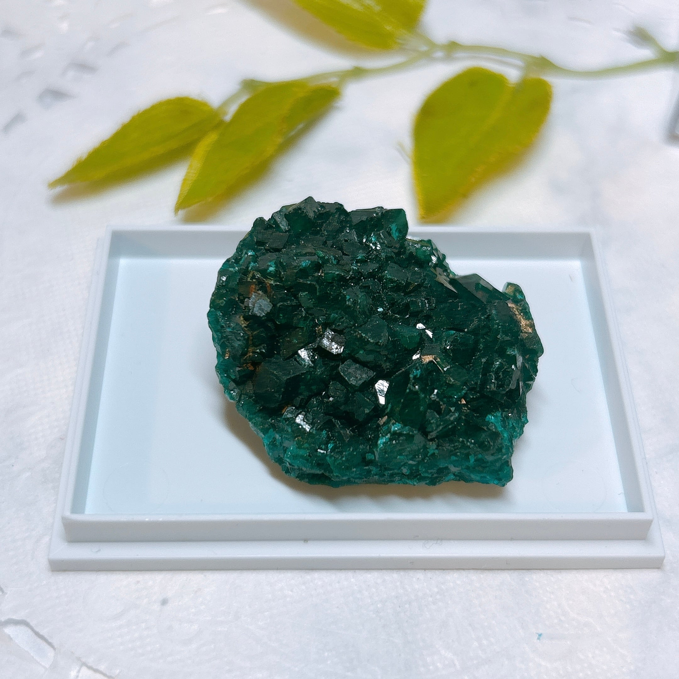 翠銅鉱 アメリカ産 宝石質 キラキラ ダイオプテーズ 翠銅鉱 原石