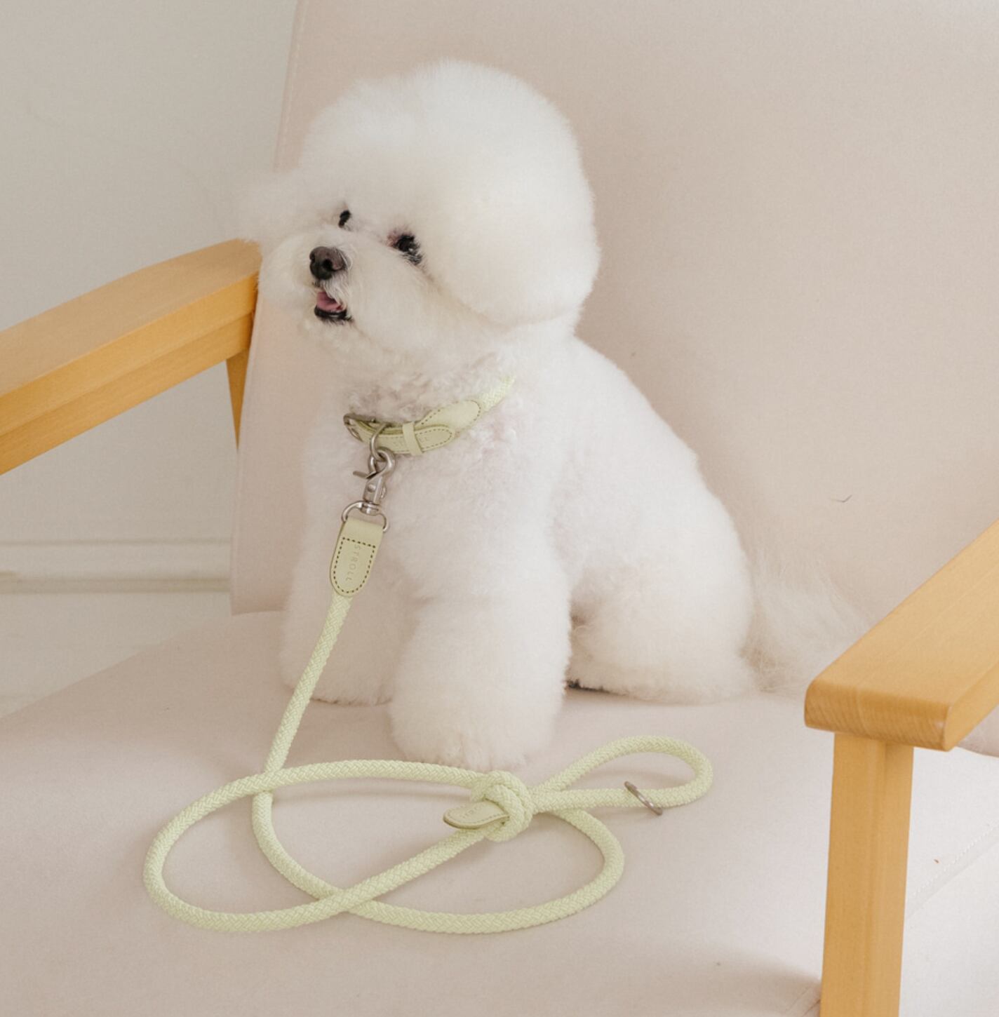 予約【stroll】Rope Collar (pistàcchio)