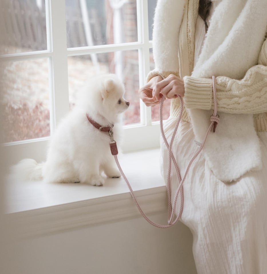 即納【stroll】Leather Collar (Vintage Rose)