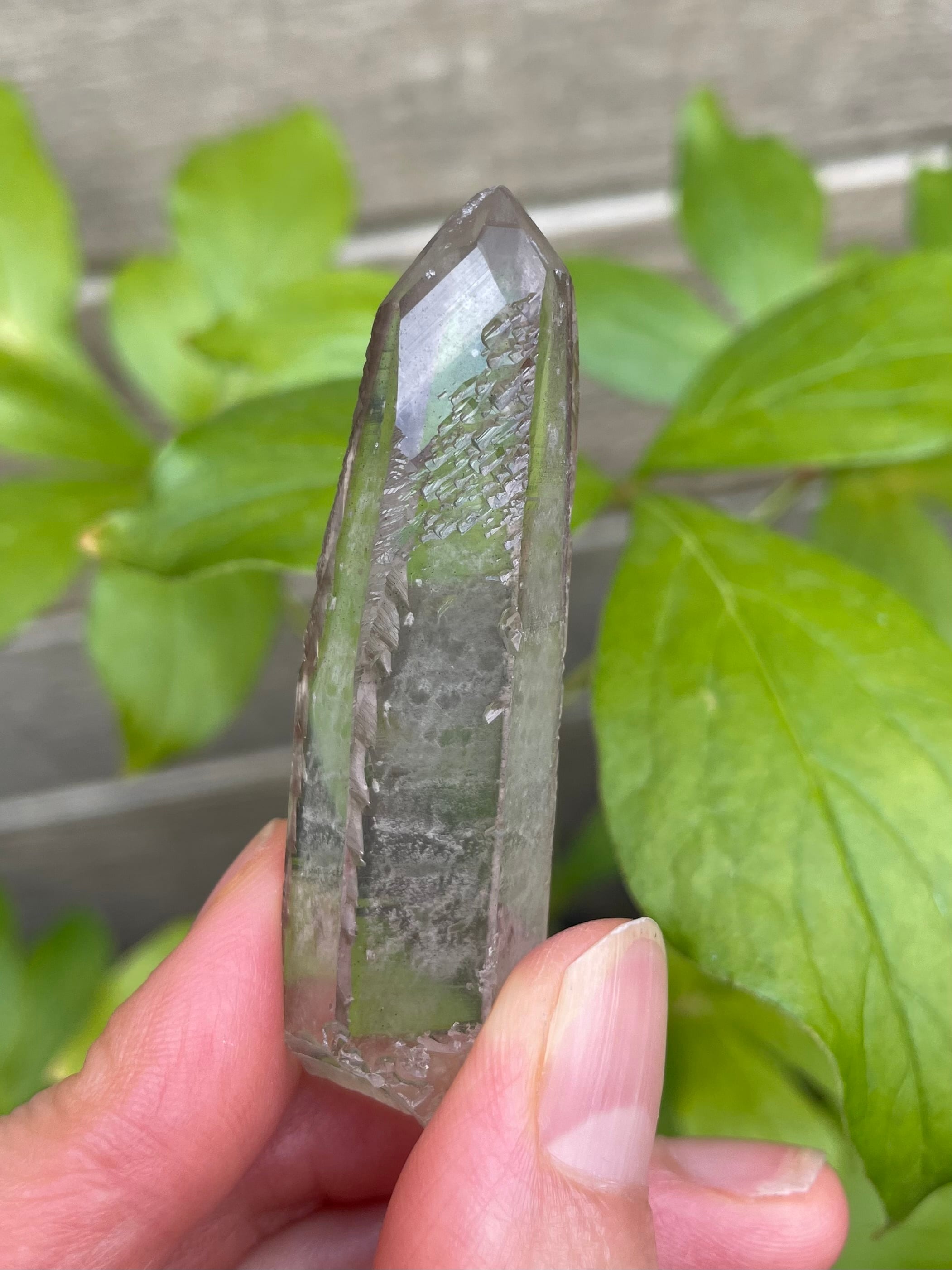 スターシードクリスタル ミナスジェライス州産 ディアマンティーナ