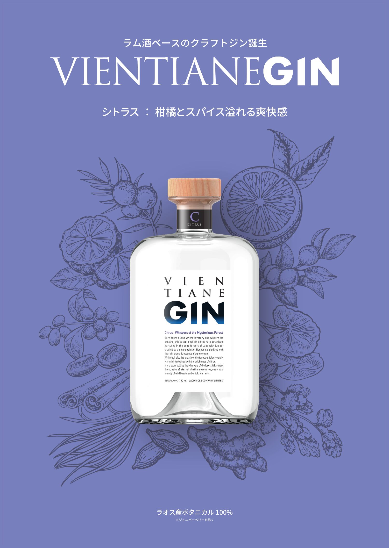 ラム、焼酎、ジンセット ジン、ラム、酒 【公式通販】