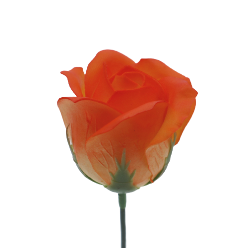 ゴールドバラグラデーションGW-O3 パステルオレンジ(15輪入りor25輪入り)