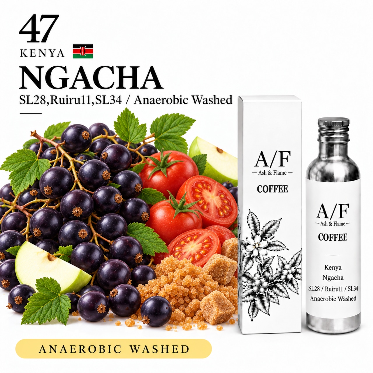 Kenya Ngacha Anaerobic Washed（SL28 Ruiru11 SL34）30gの商品写真