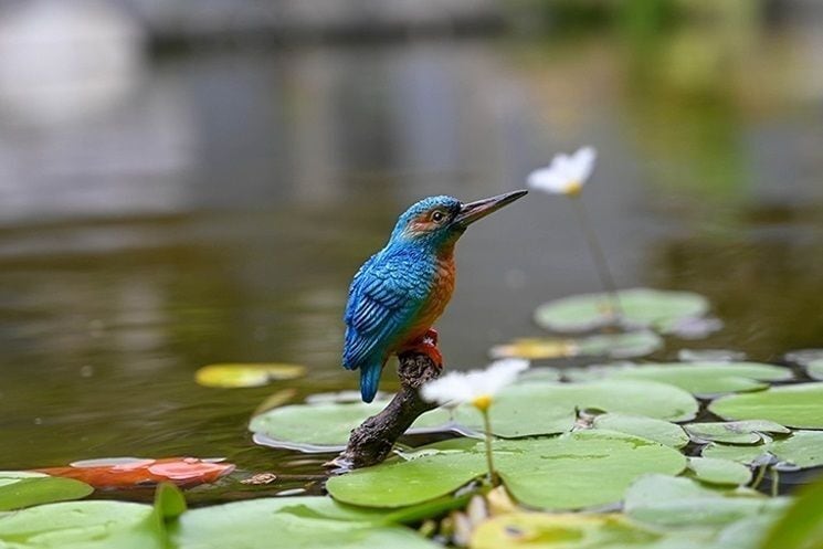 鳥の置物 青い鳥 カワセミと枝 カワセミ 水辺の鳥 ガーデニング 盆栽