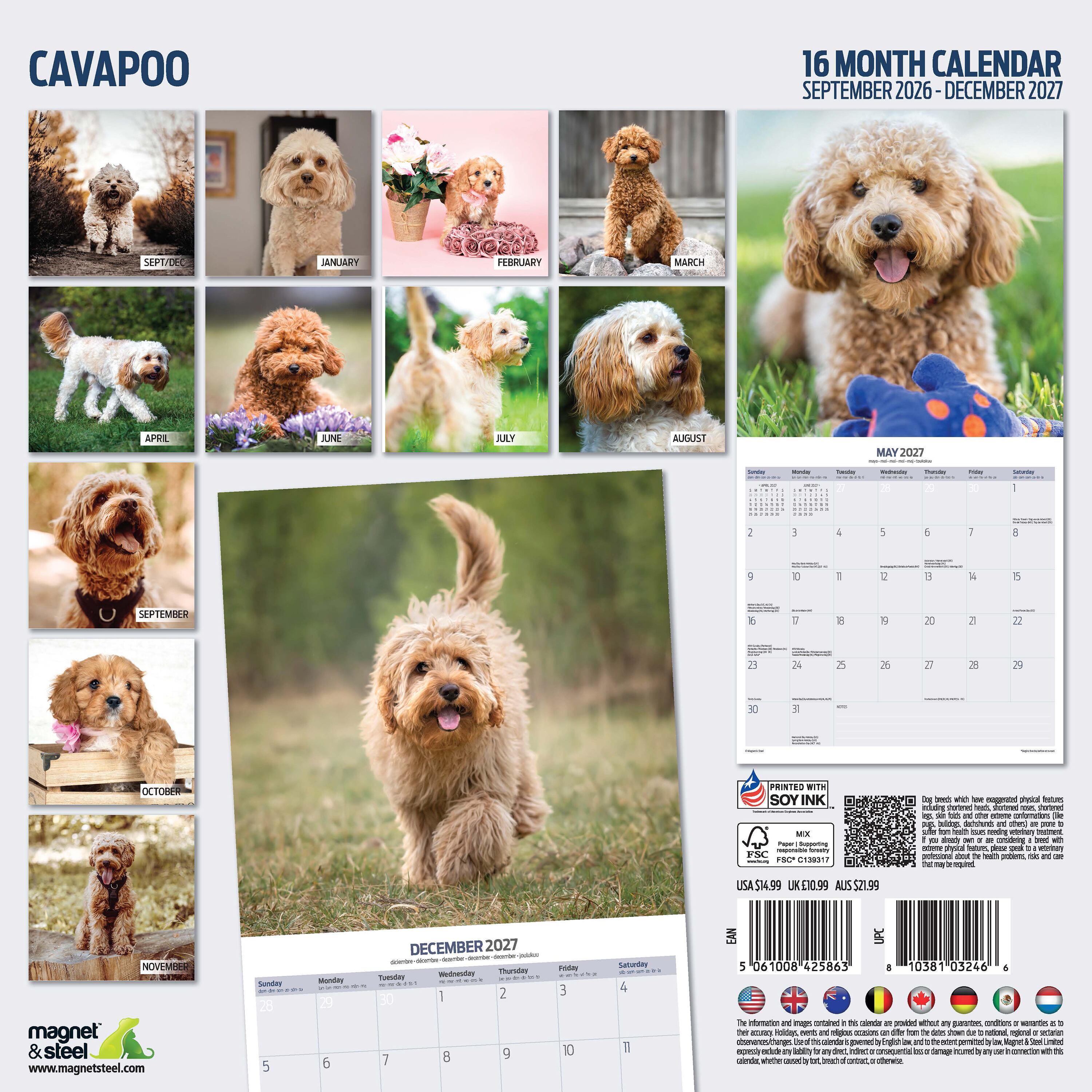 【2027年版】英国製犬種カレンダー【キャバプー】Traditional 2027年版