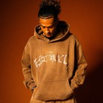 OG LOGO HEAVYWEIGHT PIGUMENT HOODIE