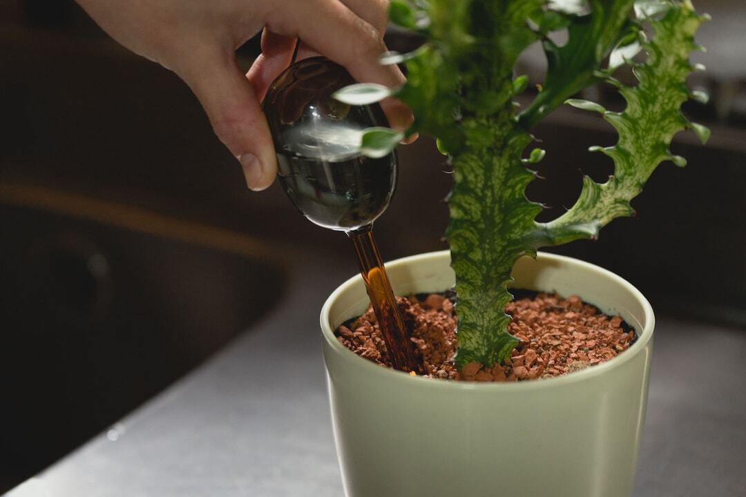 植物用水差し・TWO TONE WATER DISPENSER | amabro | inoya | Basic