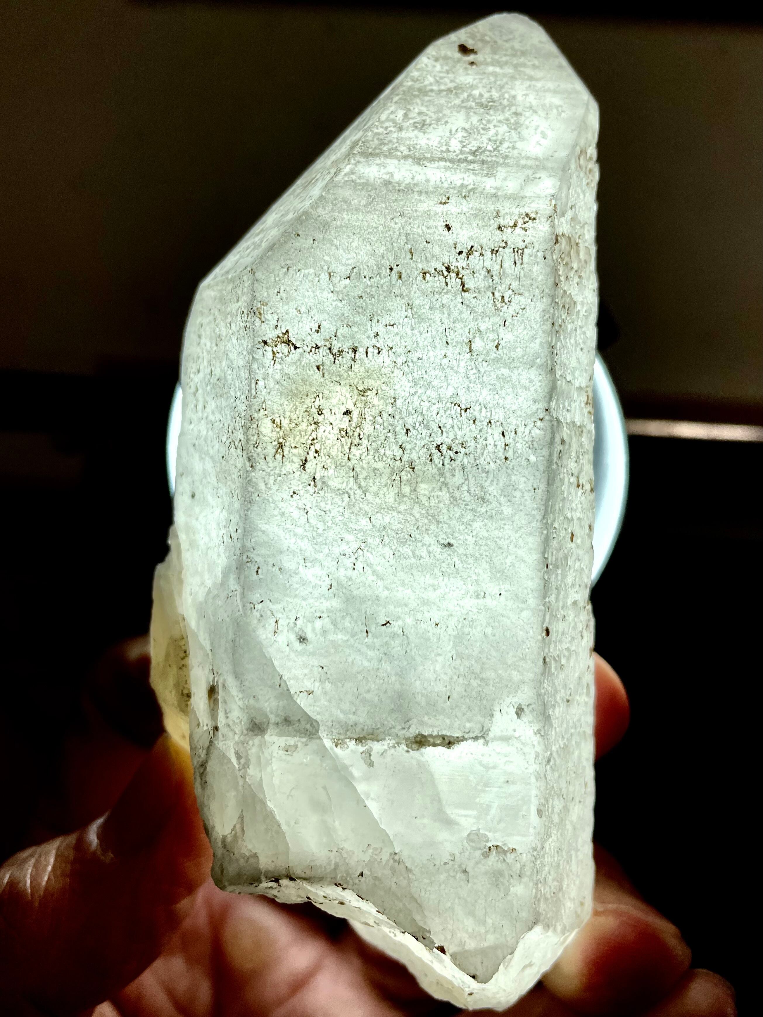 3) New found!本来の自分自身を見出す「ヒーリング・フェアリー」セルフヒールド