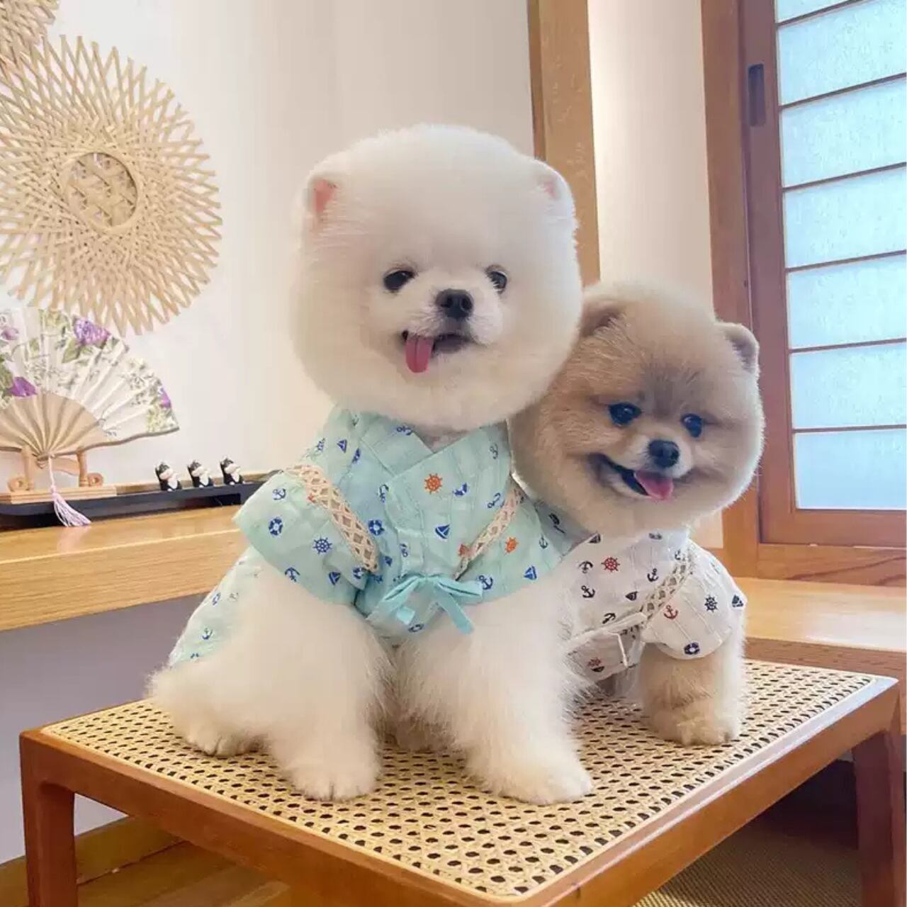 マリン柄 甚平 浴衣♡0172