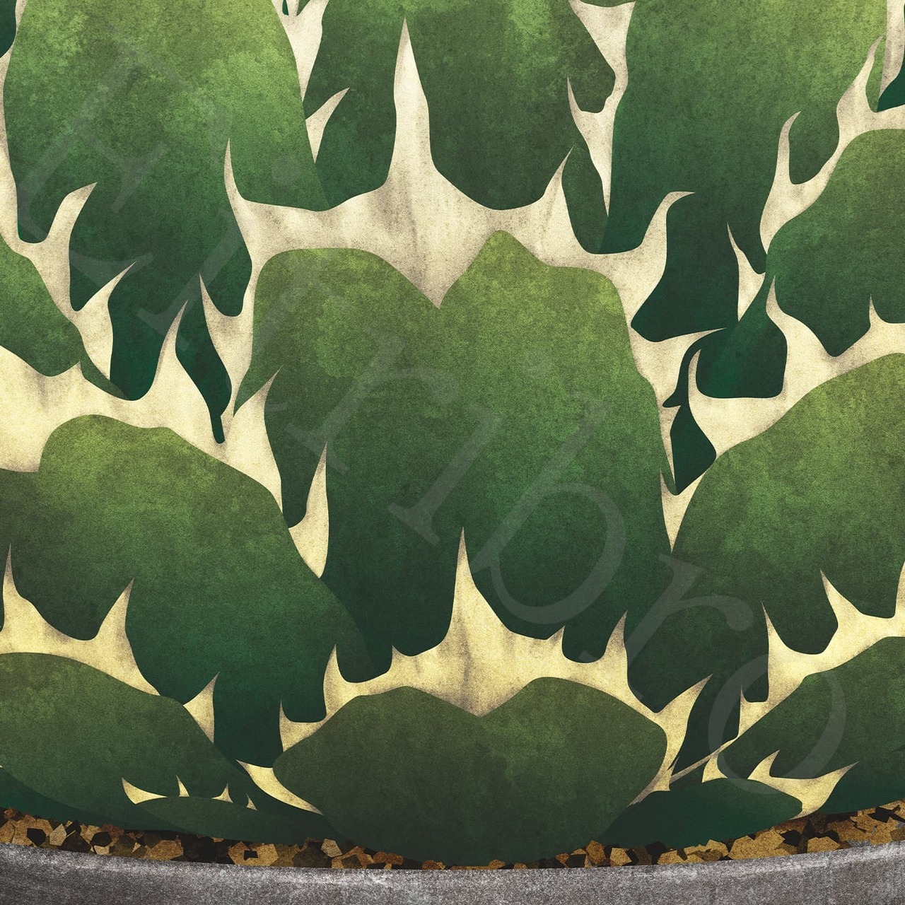 アートポスター / Agave titanota  No.2  eb218