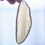 Chocolate Latte - アゲートヒーリングチャイム / Agate Sun Catcher Wind Chime 206