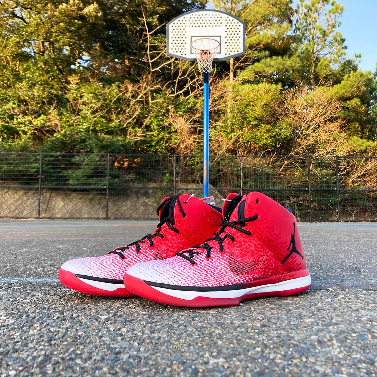 Air Jordan XXXI 