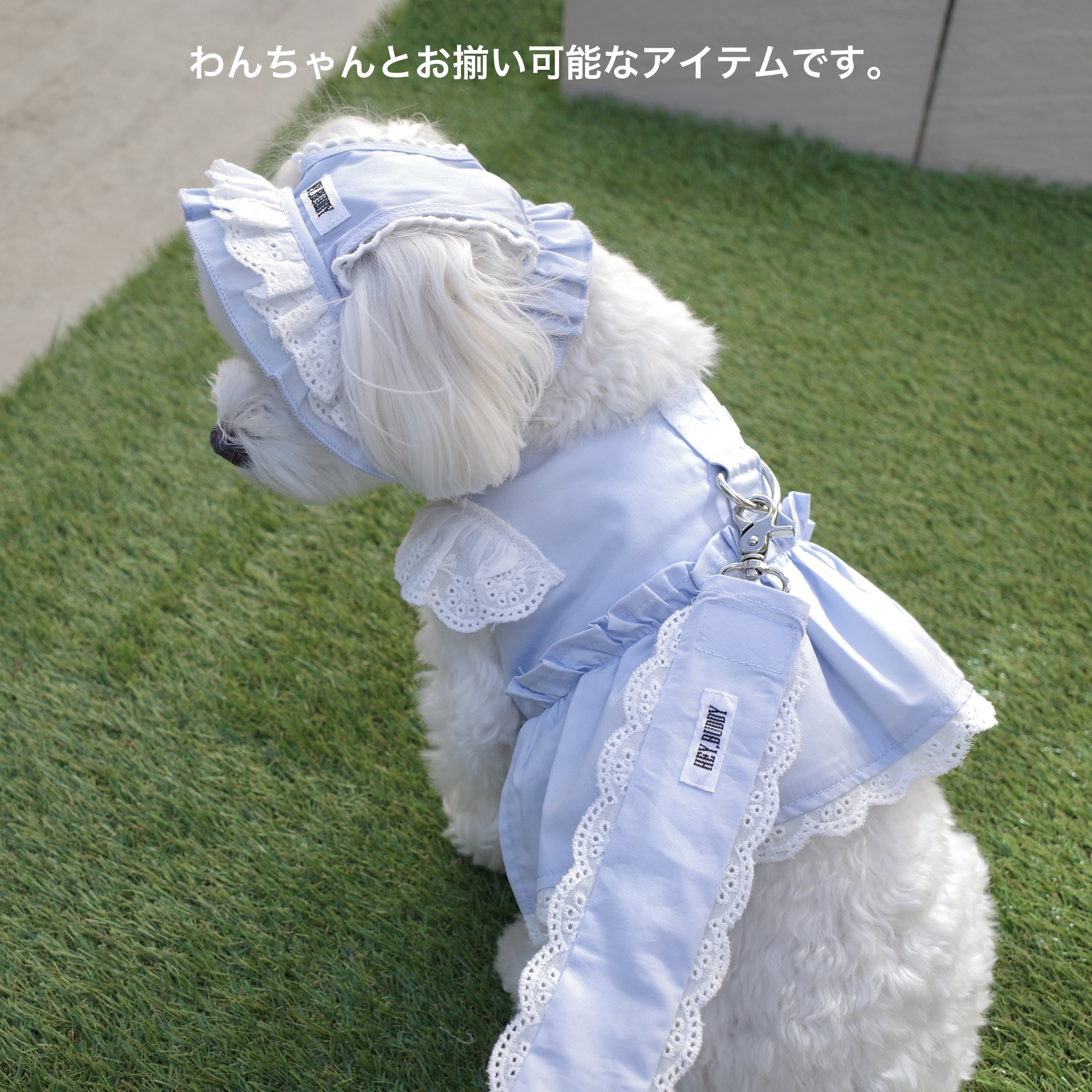 犬服・アクセサリー SORA HEY,BUDDY> pastel lace shoulder strap SORA | FUIUCHI