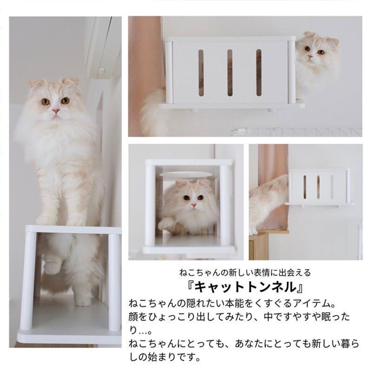 【取付け超簡単!!穴あけ最小限のキャットウォーク！「キャットトンネル（パルテノン神殿風!?）」