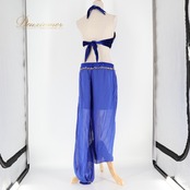 ベリーダンス 衣装 上下セット ブルー系 トップス ズボン フェイスベール ヘッドスカーフ アーム アーム飾り ハーレムパンツ パンツ 青 金 アラジン コスプレ 華やか 練習 レッスン スパンコール ラインストーン コイン キラキラ 鮮やか ゴールド系